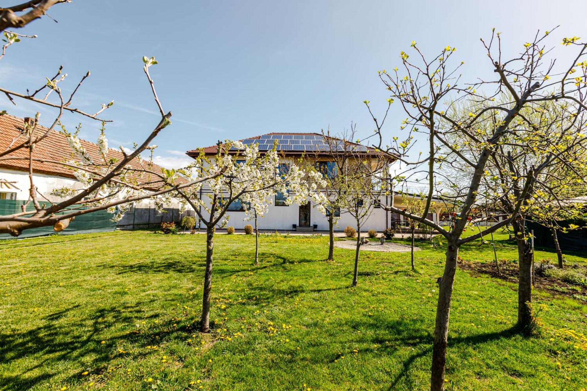 Gasthaus Sacalaz Hotel Timişoara Exterior foto